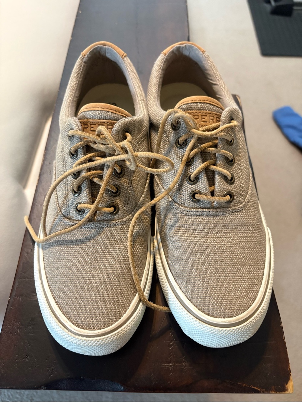 Sperry Men's Casual Canvas Top Sider, Size 8